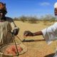 Les producteurs de gomme arabique au Soudan s'en tiennent à sa culture malgré les défis