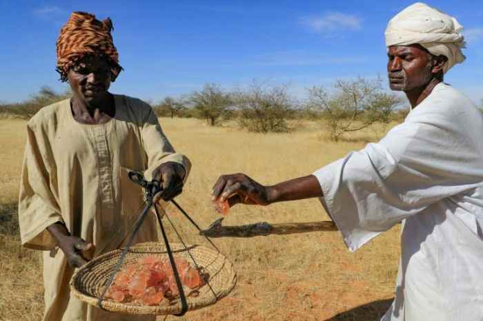 Les producteurs de gomme arabique au Soudan s'en tiennent à sa culture malgré les défis