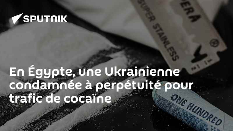 Un tribunal égyptien condamne une Ukrainienne à la réclusion à perpétuité pour avoir introduit de la cocaïne