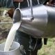 Le secteur laitier fait face à une crise majeure en Tunisie et devrait s'effondrer