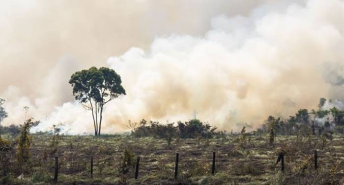 Le déclin de la biodiversité en Afrique menace la sécurité humaine