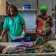 « Plus de 33 000 cas », le Centre européen publie un rapport sur les infections au choléra en Afrique