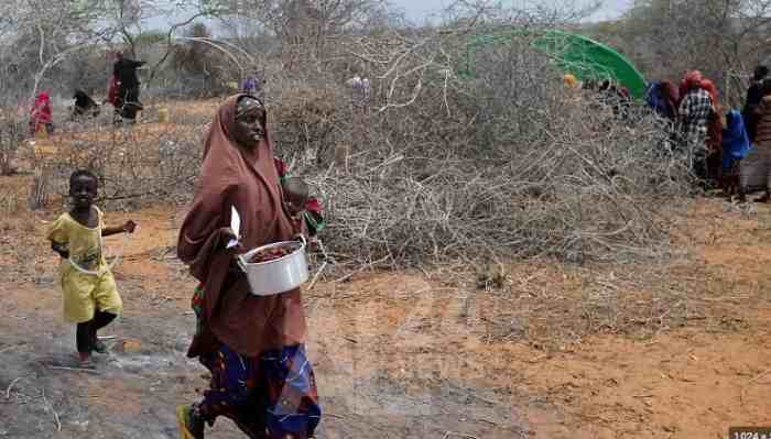 Une grave sécheresse menace la Corne de l'Afrique de famine