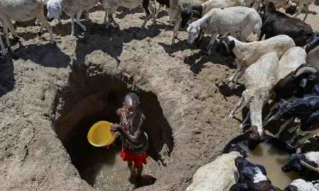La sécheresse menace 22 millions de personnes dans la Corne de l'Afrique