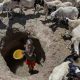 La sécheresse menace 22 millions de personnes dans la Corne de l'Afrique