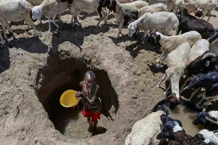 La sécheresse menace 22 millions de personnes dans la Corne de l'Afrique