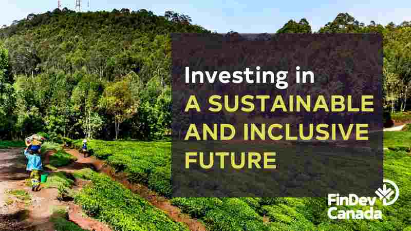 FinDev Canada investit 55 millions de dollars américains pour aider les petits agriculteurs africains à accéder aux marchés mondiaux