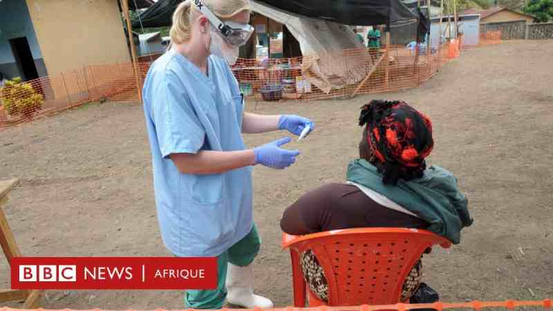 Quel est le virus mortel de Marburg de type Ebola qui se propage en Guinée équatoriale ?