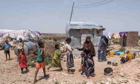 Nations Unies : plus de 185 000 personnes ont été déplacées au Somaliland en raison de la violence