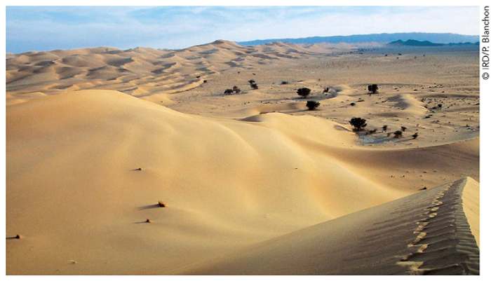 Des « rivières cachées dans le ciel » créent l'aridité en Afrique de l'Est