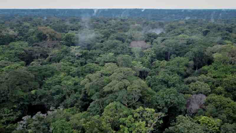 Dans le Bassin du Congo...Protéger les forêts face au "jeu diplomatique"