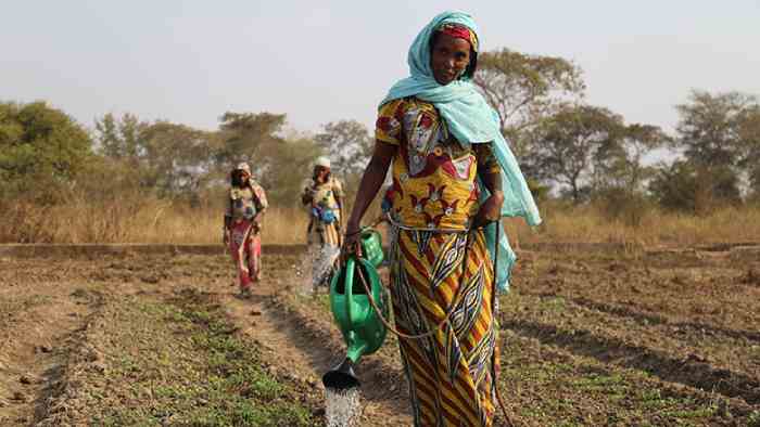 Le Fonds arabe d'aide aux pays africains consolide la sécurité alimentaire et les petits projets au Soudan