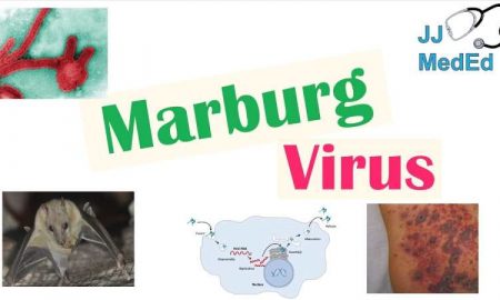 Confirmation du décès de 5 personnes des suites de la maladie de Marburg dans un pays africain
