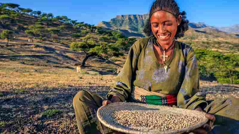 McKinsey co-fonde un effort pour transformer l'agriculture et les systèmes alimentaires en Afrique