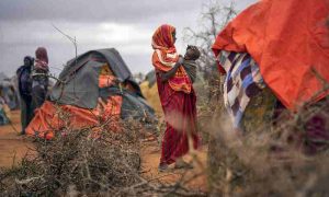 43 000 personnes, dont la moitié d'enfants, ont été tuées à cause de la sécheresse en Somalie