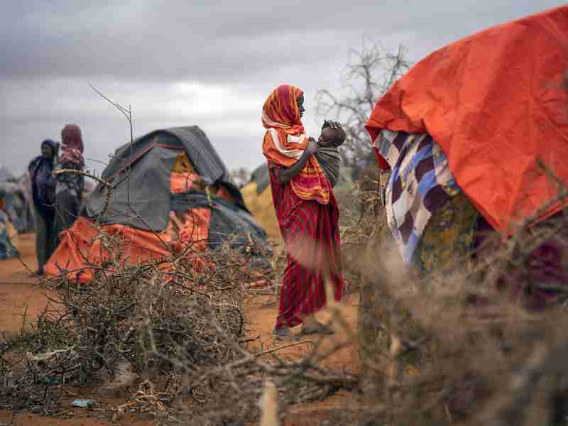 43 000 personnes, dont la moitié d'enfants, ont été tuées à cause de la sécheresse en Somalie