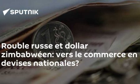 Le Zimbabwe est intéressé par la coopération commerciale avec la Russie avec les monnaies nationales