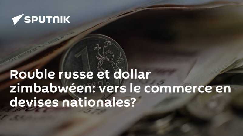 Le Zimbabwe est intéressé par la coopération commerciale avec la Russie avec les monnaies nationales