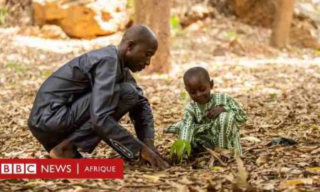 Les pays africains pensent que le changement climatique ne peut être combattu sans développement