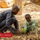 Les pays africains pensent que le changement climatique ne peut être combattu sans développement