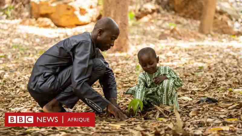 Les pays africains pensent que le changement climatique ne peut être combattu sans développement