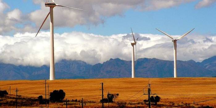 Un projet de champ d'énergie éolienne en Afrique du Sud soulève des préoccupations environnementales