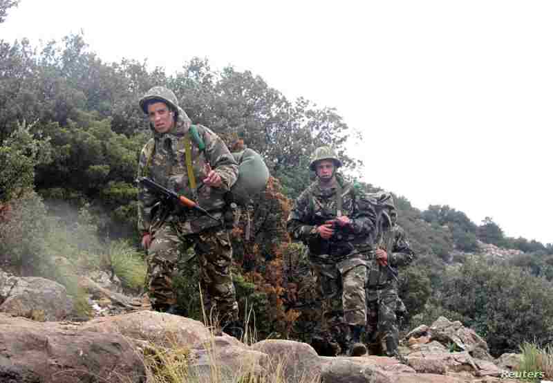 Algérie : le vol de moutons par des militaires met en lumière la corruption au sein de l’armée