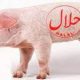 Les Algériens consommaient-ils de la viande de porc pendant le Ramadan ?