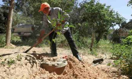 Déforestation injuste, étalement urbain et sécheresse forment un triangle qui menace la capitale libyenne