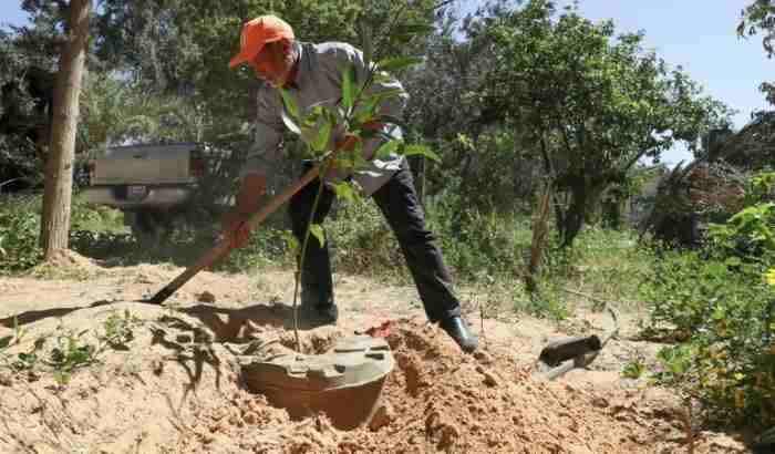 Déforestation injuste, étalement urbain et sécheresse forment un triangle qui menace la capitale libyenne