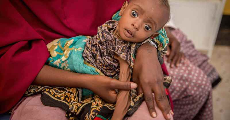 Organisations non gouvernementales : Du Sahel à la Corne de l'Afrique, il y a un mort toutes les 36 secondes de faim