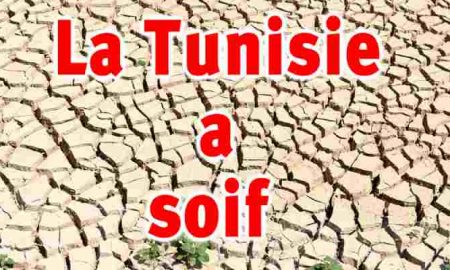 La Tunisie initie un système de quotas pour l'approvisionnement en eau potable et empêche son utilisation dans l'agriculture