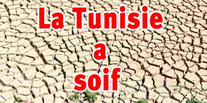 La Tunisie initie un système de quotas pour l'approvisionnement en eau potable et empêche son utilisation dans l'agriculture