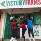 Victory Farms lève 35 millions de dollars pour se développer dans toute l'Afrique de l'Est