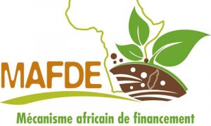 Agence africaine de développement : 9 pays africains bénéficient du mécanisme de financement des engrais pour soutenir l'alimentation