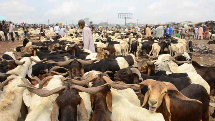 85 personnes ont été tuées dans des affrontements entre éleveurs et agriculteurs dans le centre du Nigeria