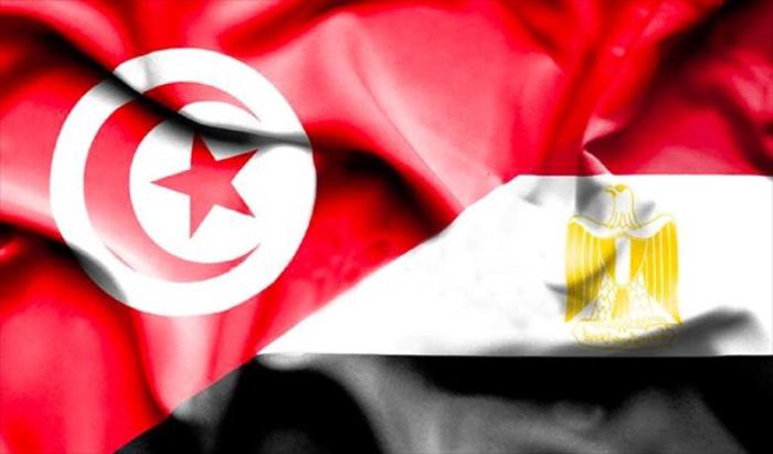 Egypte et Tunisie...Un éventuel glissement dans la spirale de l'endettement