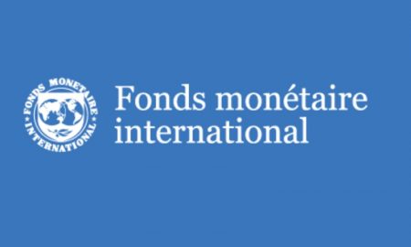 Le Fonds monétaire...Des attentes "sombres" pour l'Afrique en raison de l'escalade des tensions