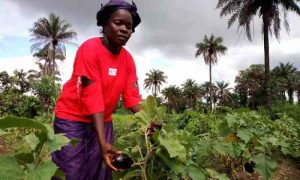 Le Kenya et le FIDA conviennent d'accélérer l'agriculture et de s'adapter à la crise climatique