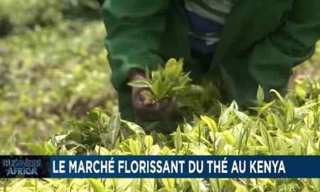 Un producteur d'herbes trouve des marchés en dehors du Kenya