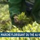 Un producteur d'herbes trouve des marchés en dehors du Kenya