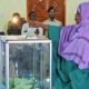 La Somalie passera à un système de vote direct à partir des élections de 2024