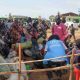 Migration internationale : plus d'un millier de personnes déplacées du Soudan arrivent chaque jour en Éthiopie