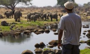 La réserve faunique cachée de Tanzanie appartient à un milliardaire américain