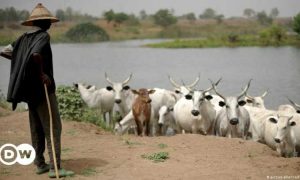10 personnes ont été tuées dans des affrontements entre bergers et agriculteurs au Tchad