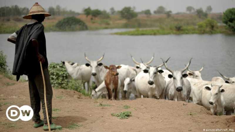 10 personnes ont été tuées dans des affrontements entre bergers et agriculteurs au Tchad