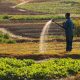 SC Ventures lance Tawi pour améliorer l'accès financier des petits exploitants agricoles au Kenya