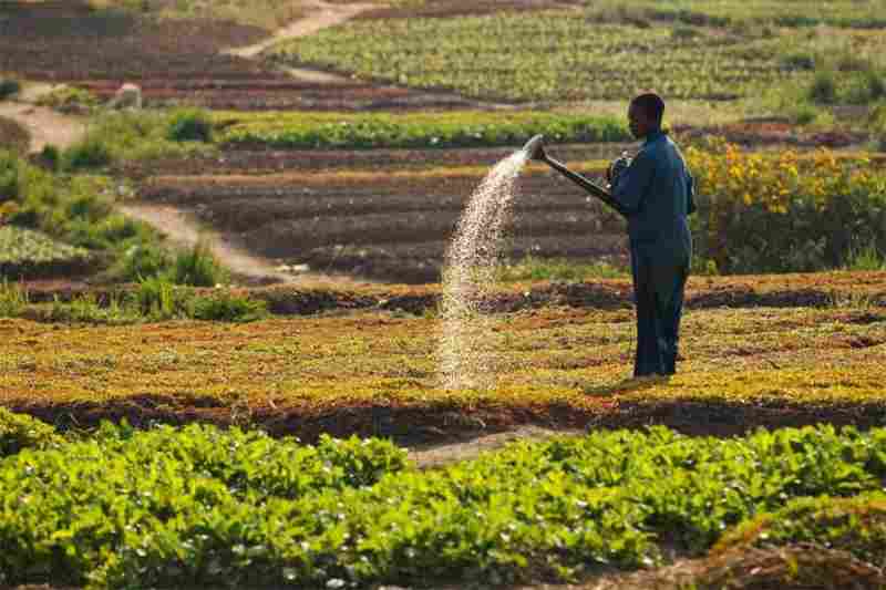 SC Ventures lance Tawi pour améliorer l'accès financier des petits exploitants agricoles au Kenya