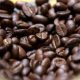 Les exportations de café sont en baisse du plus grand exportateur d'Afrique...Pour cette raison