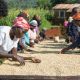 La Communauté de l'Afrique de l'Est lance une campagne pour développer le commerce d'exportation agricole